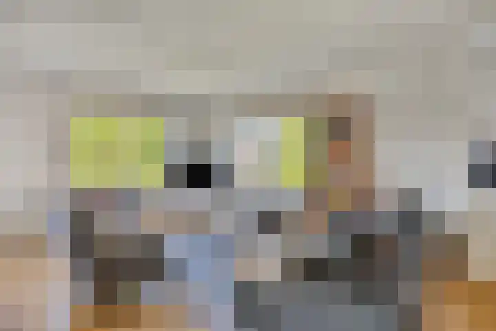 Aletta Jacobslaan 64 Veenendaal thumbnail 13