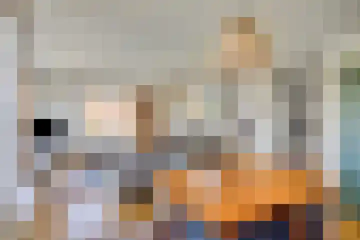 Aletta Jacobslaan 64 Veenendaal thumbnail 17