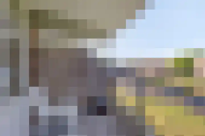 Aletta Jacobslaan 64 Veenendaal thumbnail 19
