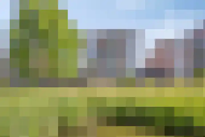 Aletta Jacobslaan 64 Veenendaal thumbnail 37