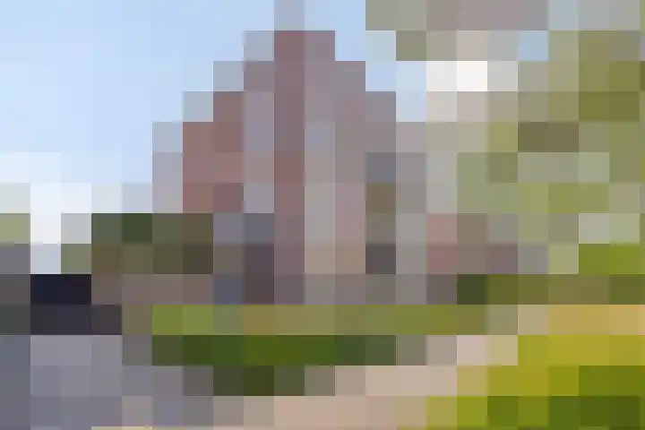 Aletta Jacobslaan 64 Veenendaal thumbnail 6