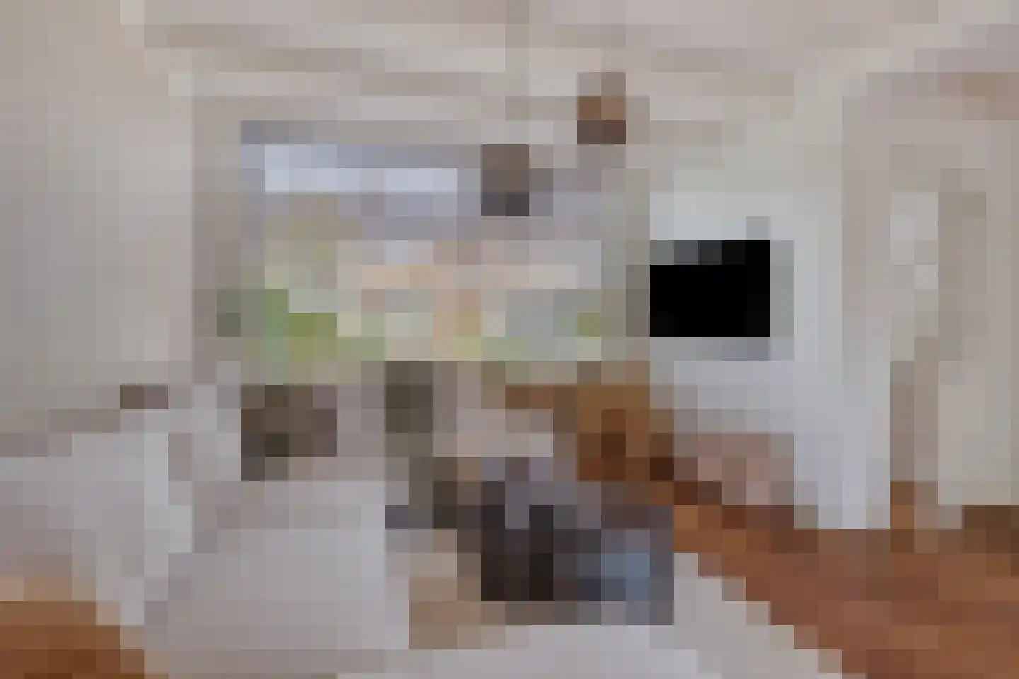 Aletta Jacobslaan 66 Purmerend thumbnail 17