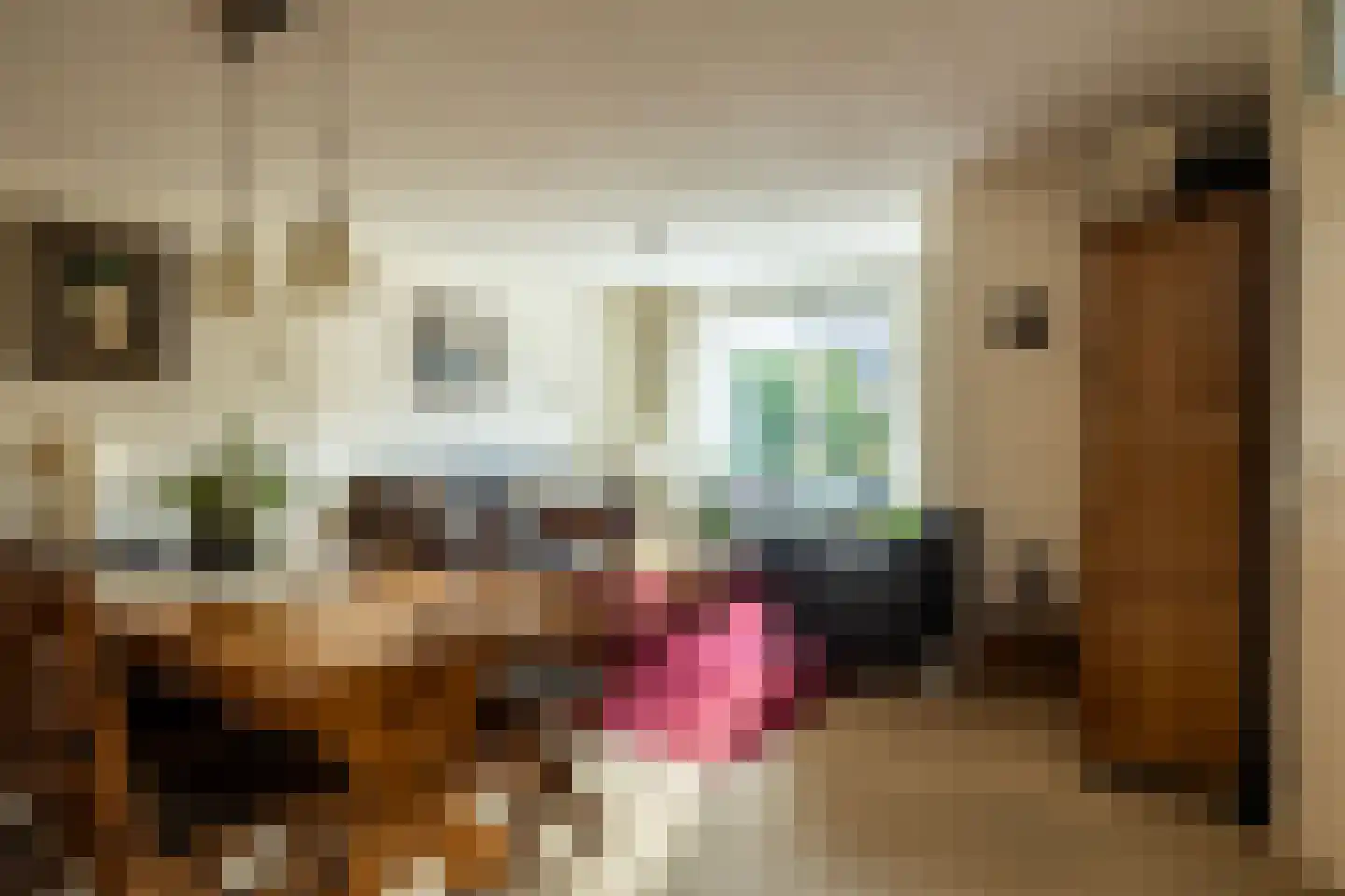 Aletta Jacobslaan 74 Veenendaal thumbnail 10