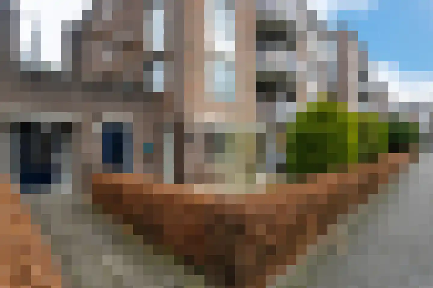 Aletta Jacobslaan 74 Veenendaal thumbnail 18