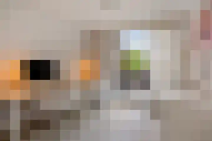 Aletta Jacobslaan 76 Leiden thumbnail 28