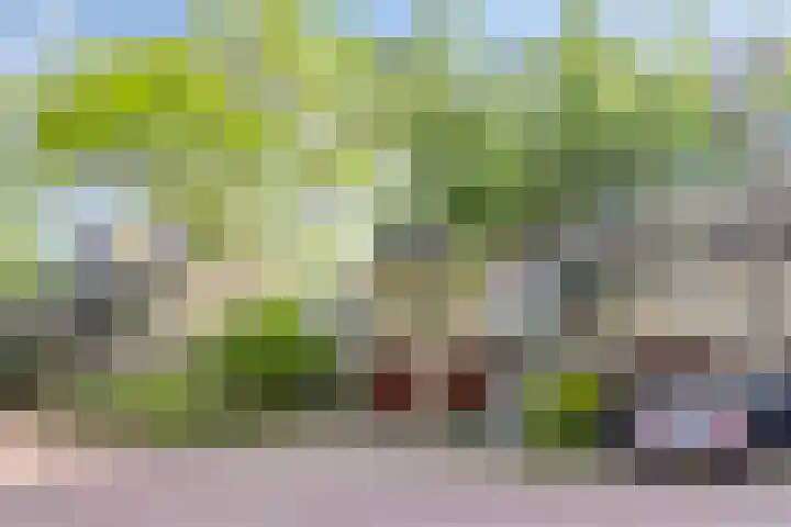 Aletta Jacobslaan 76 Leiden thumbnail 5