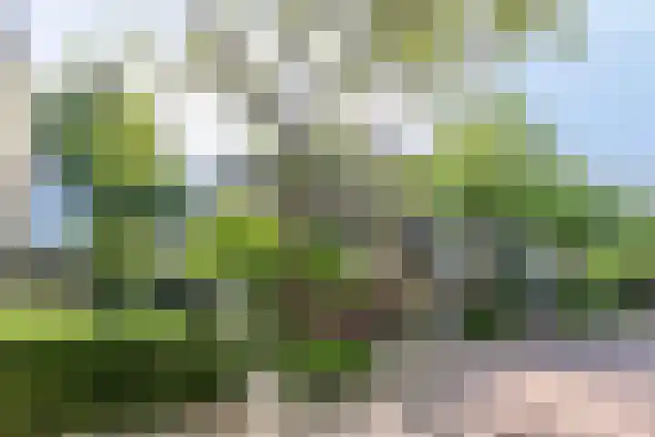 Aletta Jacobslaan 76 Leiden thumbnail 6