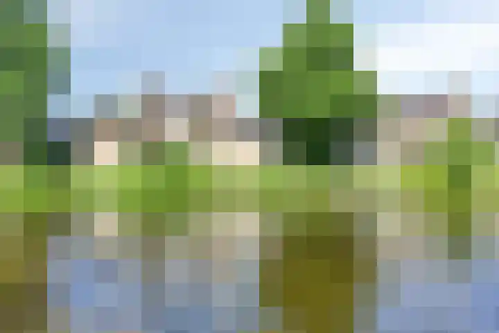 Aletta Jacobslaan 76 Leiden thumbnail 7