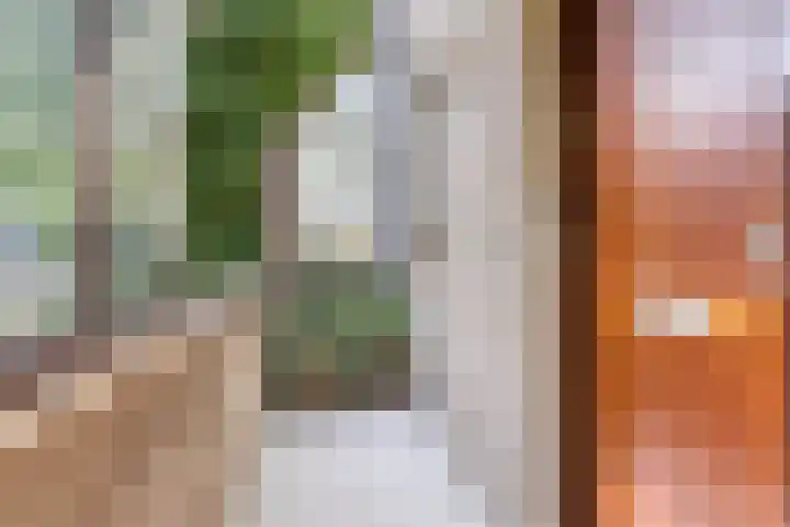 Aletta Jacobslaan 76 Leiden thumbnail 8