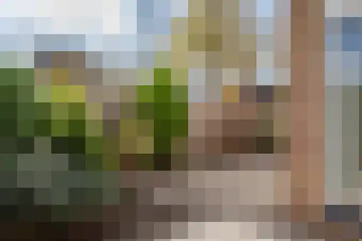 Aletta Jacobslaan 82 Purmerend thumbnail 30