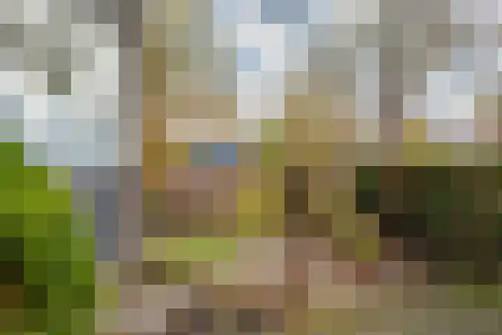 Aletta Jacobslaan 82 Purmerend thumbnail 35