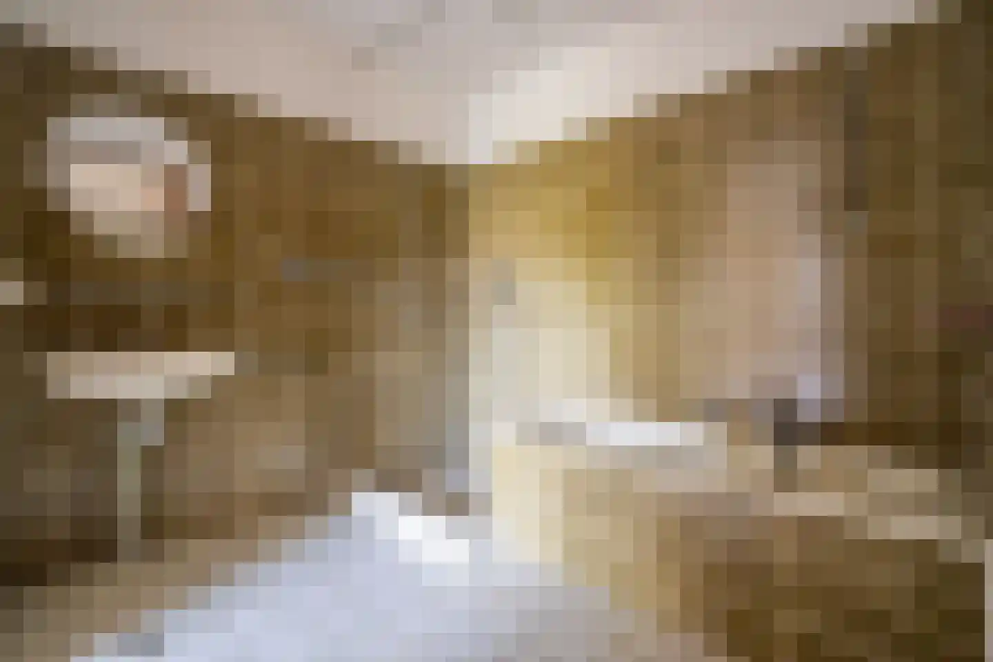 Aletta Jacobslaan 86 Leiden thumbnail 34