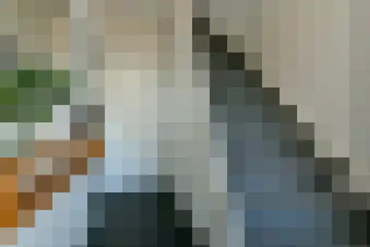 Aletta Jacobslaan 92 Purmerend thumbnail 13