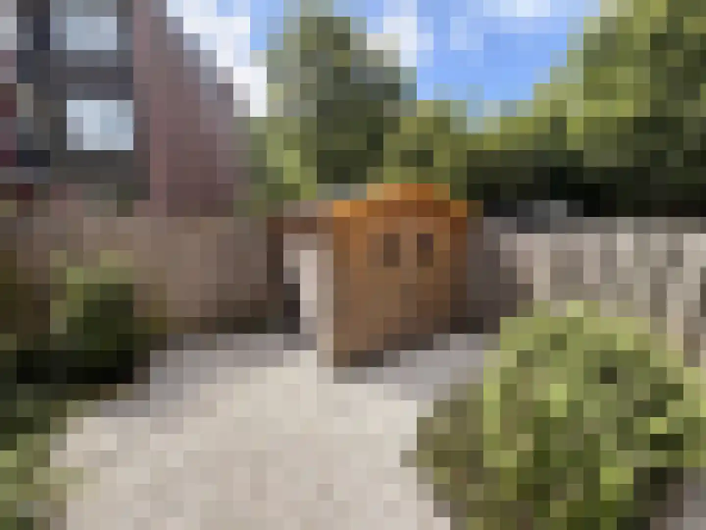 Aletta Jacobsplantsoen 102 Voorschoten thumbnail 17