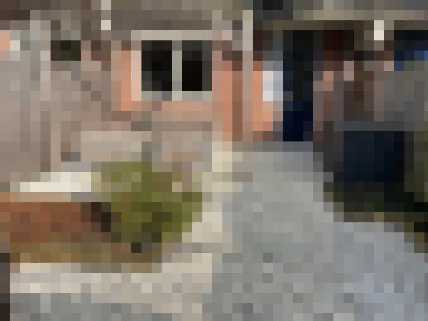 Aletta Jacobsplantsoen 102 Voorschoten thumbnail 18