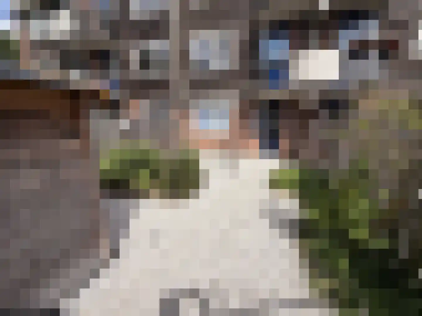 Aletta Jacobsplantsoen 102 Voorschoten thumbnail 18