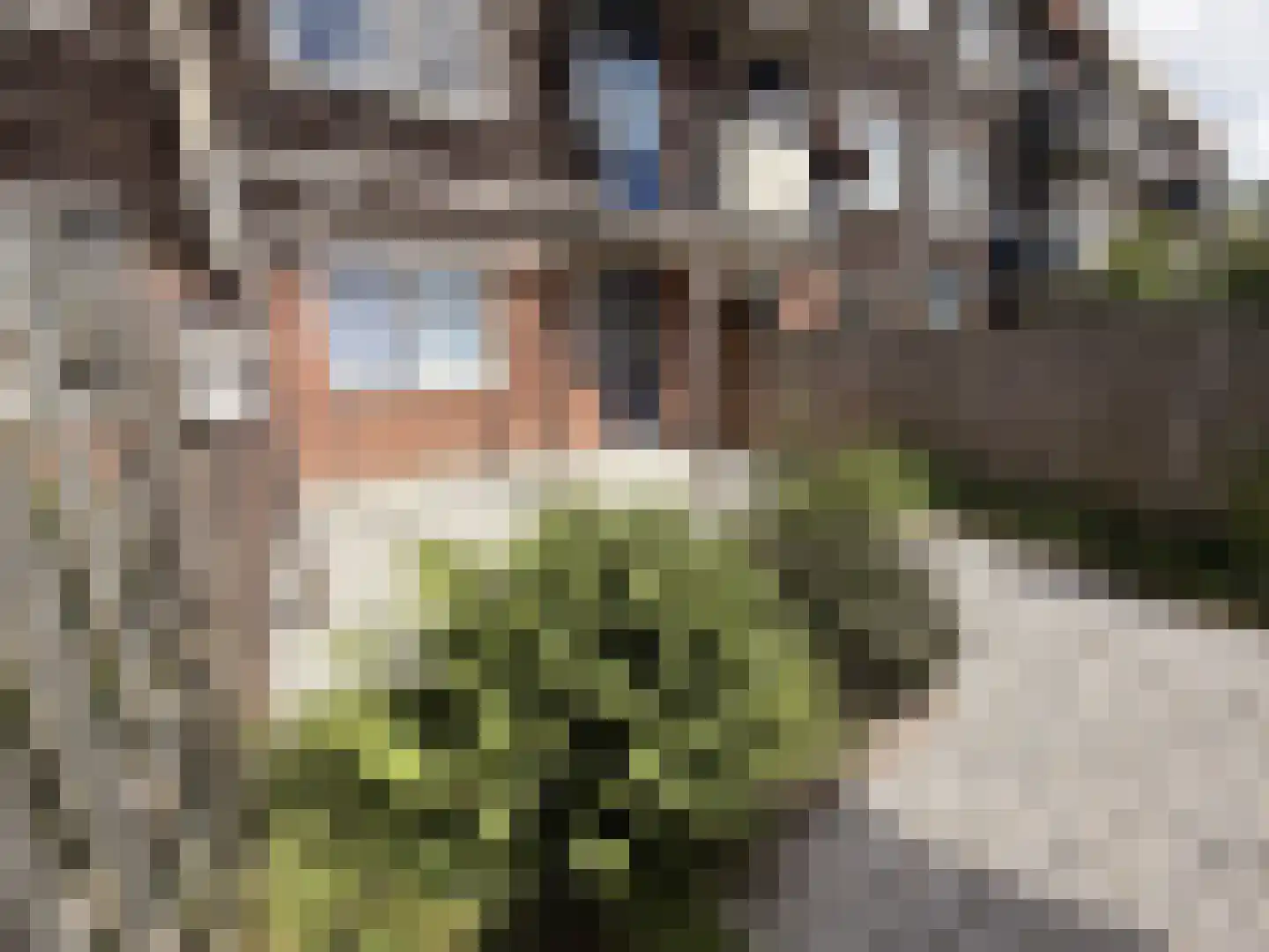 Aletta Jacobsplantsoen 102 Voorschoten thumbnail 19
