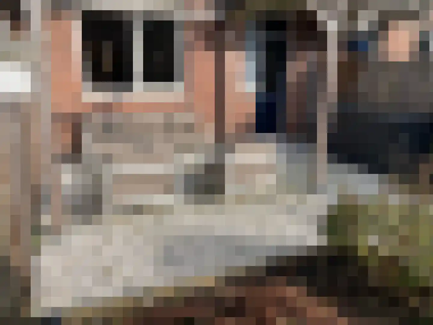 Aletta Jacobsplantsoen 102 Voorschoten thumbnail 19