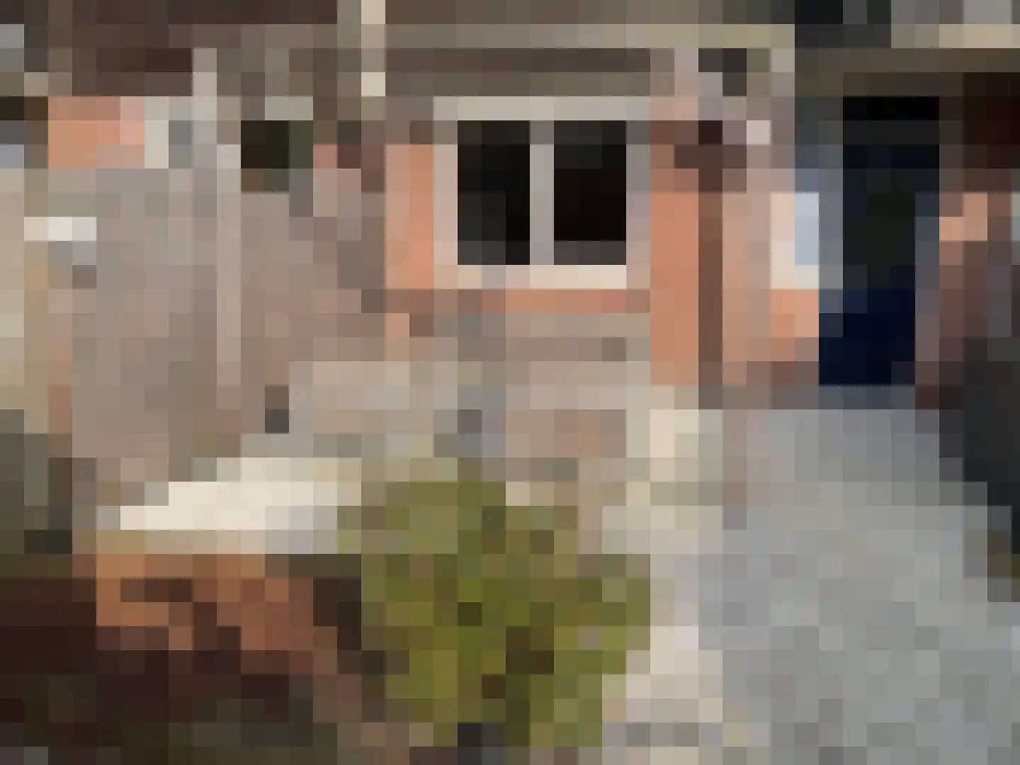 Aletta Jacobsplantsoen 102 Voorschoten thumbnail 20