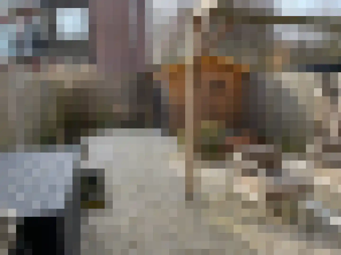 Aletta Jacobsplantsoen 102 Voorschoten thumbnail 21