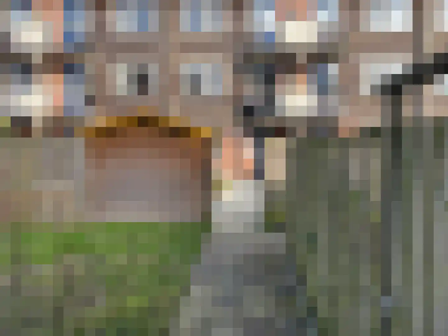 Aletta Jacobsplantsoen 102 Voorschoten thumbnail 24