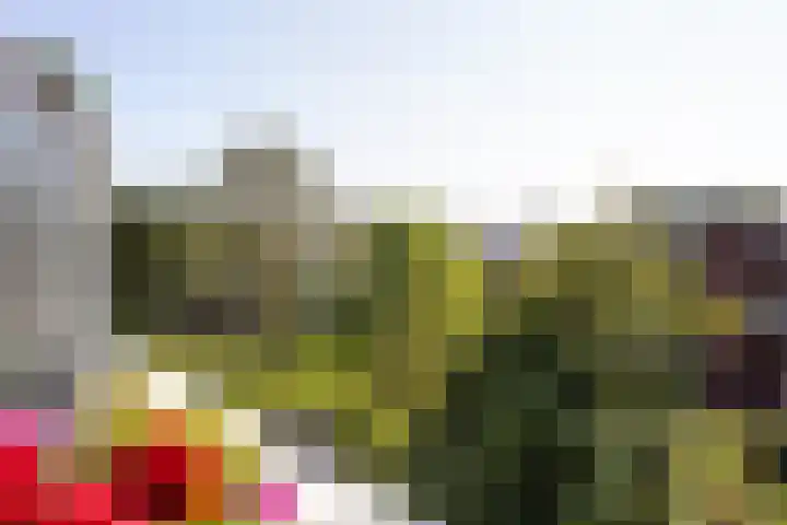 Aletta Jacobsplantsoen 106 Voorschoten thumbnail 18