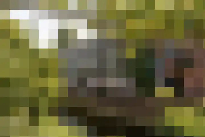 Aletta Jacobsplantsoen 106 Voorschoten thumbnail 20