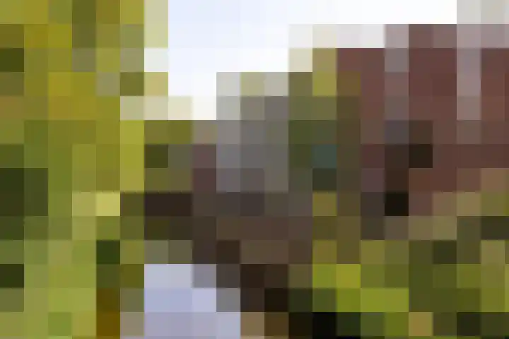 Aletta Jacobsplantsoen 106 Voorschoten thumbnail 21