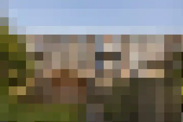 Aletta Jacobsplantsoen 106 Voorschoten thumbnail 22