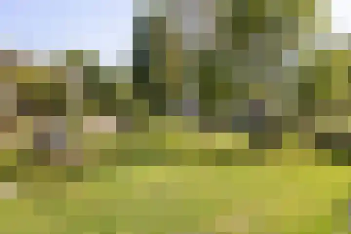 Aletta Jacobsplantsoen 106 Voorschoten thumbnail 23