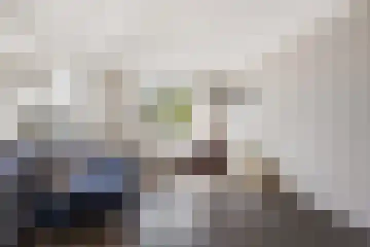Aletta Jacobsplantsoen 106 Voorschoten thumbnail 4