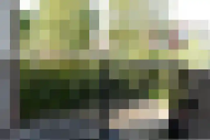 Aletta Jacobsplantsoen 166 Voorschoten thumbnail 12