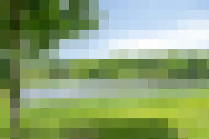 Aletta Jacobsplein 14 Helmond thumbnail 37