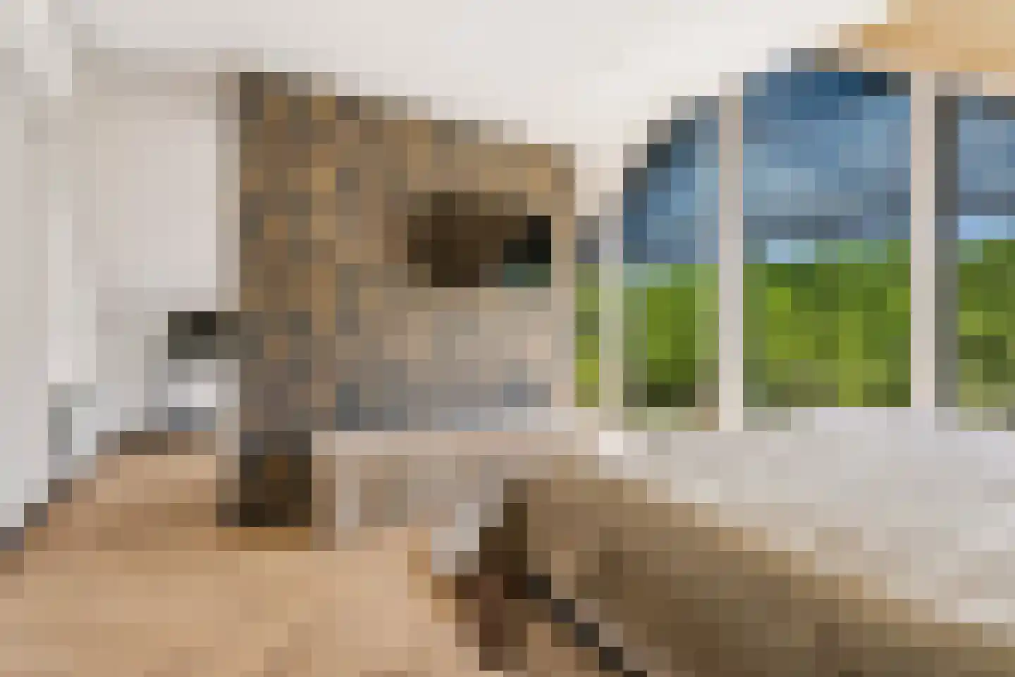 Aletta Jacobsstraat 104 Almere thumbnail 45