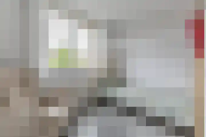 Aletta Jacobsstraat 108 Assendelft thumbnail 17
