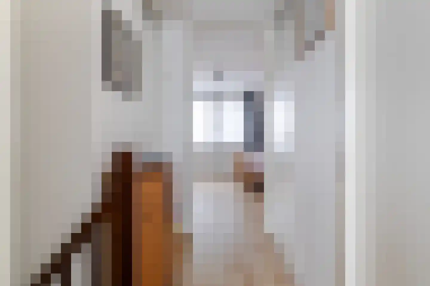 Aletta Jacobsstraat 12 Veenoord thumbnail 20