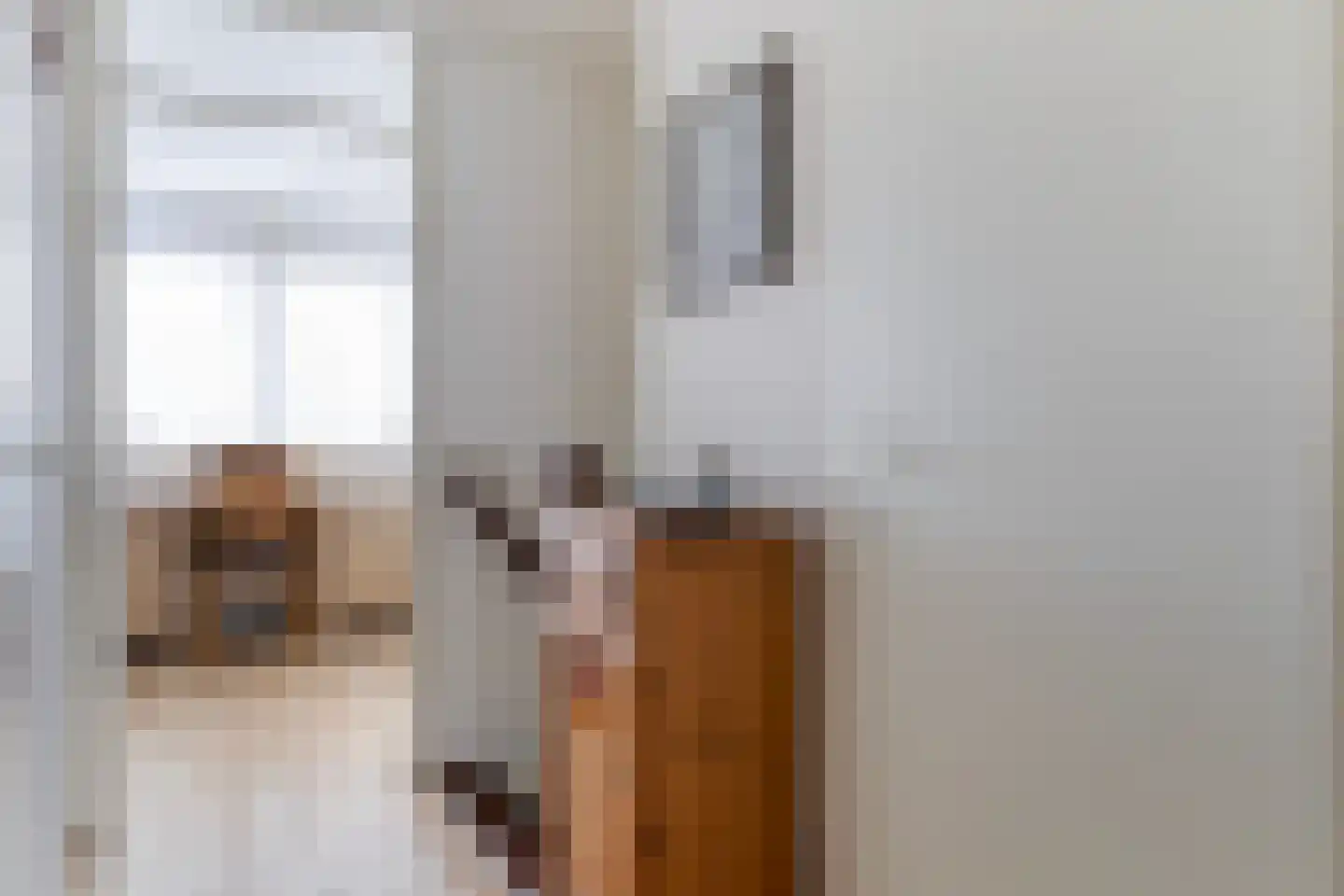 Aletta Jacobsstraat 12 Veenoord thumbnail 23