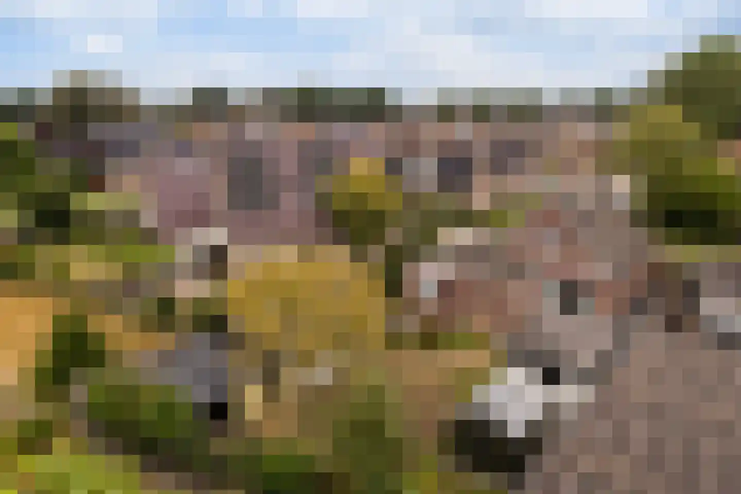 Aletta Jacobsstraat 12 Veenoord thumbnail 38