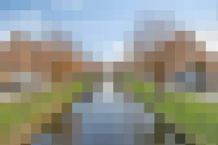 Aletta Jacobsstraat 127 Assendelft thumbnail 25