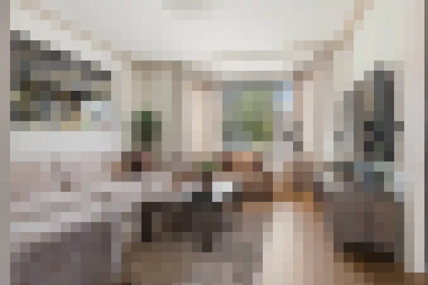 Aletta Jacobsstraat 132 Heemskerk thumbnail 7