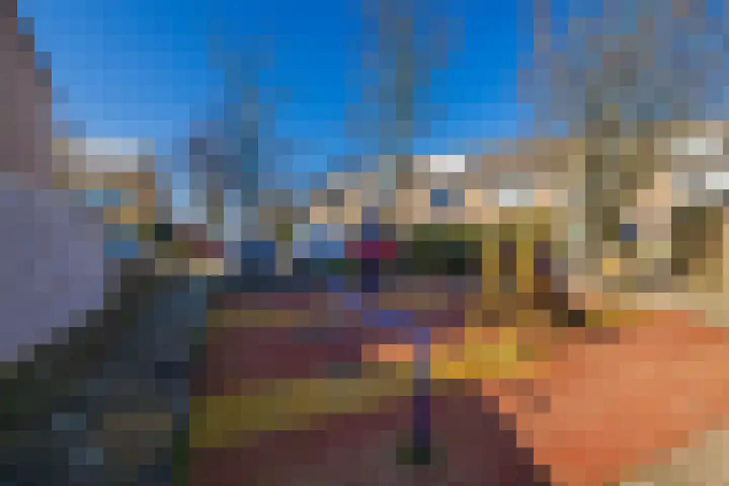 Aletta Jacobsstraat 16 Lisse thumbnail 40