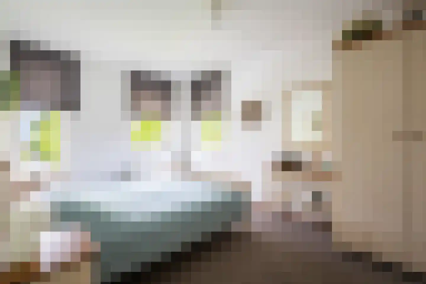 Aletta Jacobsstraat 18 Heerlen thumbnail 16