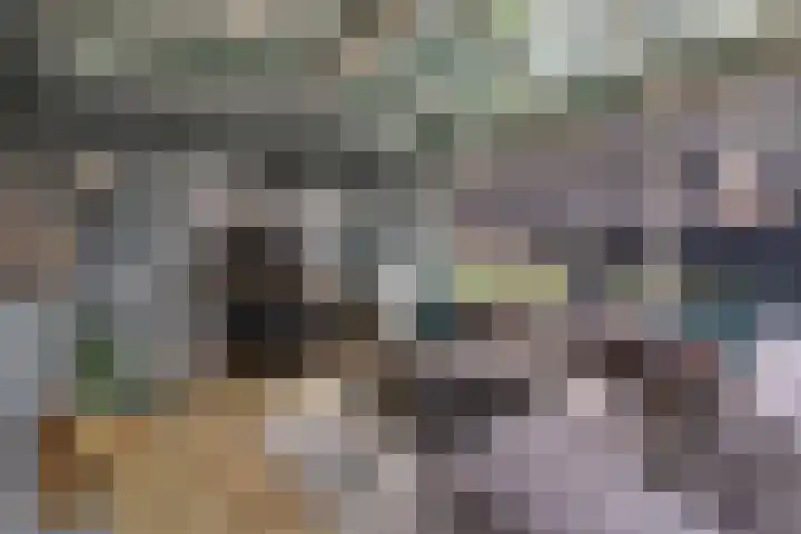 Aletta Jacobsstraat 22 Veenoord thumbnail 13