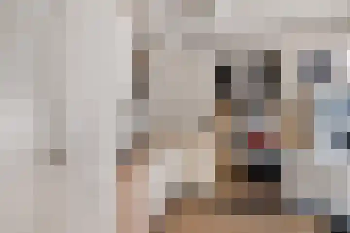Aletta Jacobsstraat 22 Veenoord thumbnail 15