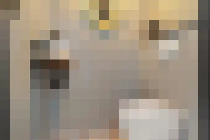 Aletta Jacobsstraat 22 Veenoord thumbnail 18