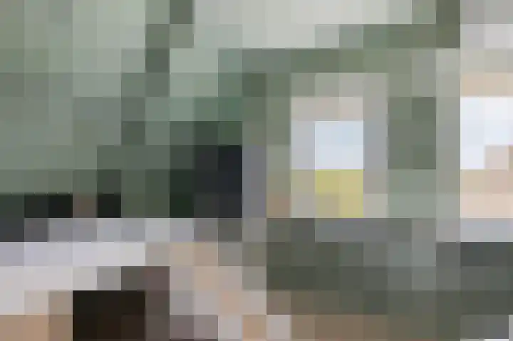 Aletta Jacobsstraat 22 Veenoord thumbnail 23