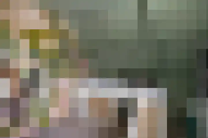 Aletta Jacobsstraat 22 Veenoord thumbnail 25