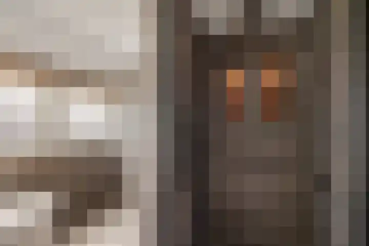 Aletta Jacobsstraat 22 Veenoord thumbnail 33