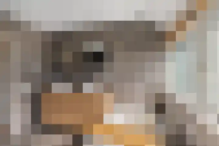 Aletta Jacobsstraat 22 Veenoord thumbnail 34