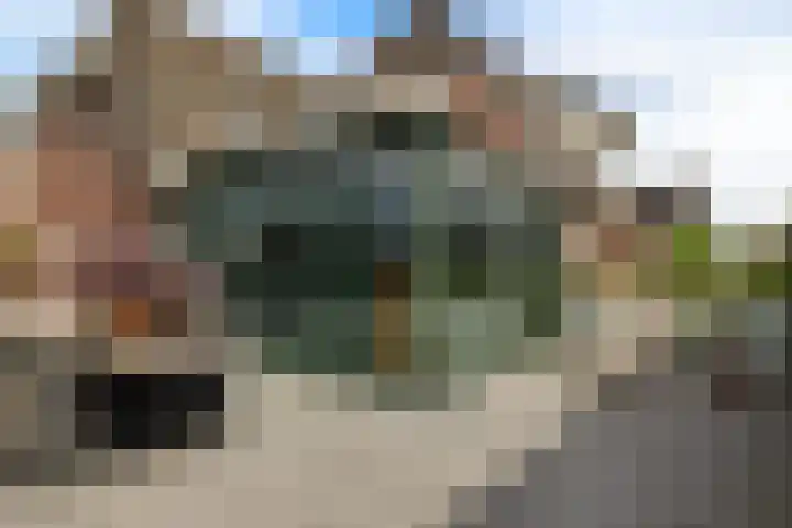 Aletta Jacobsstraat 22 Veenoord thumbnail 37